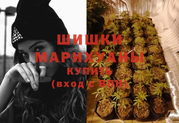 трава Дмитриев