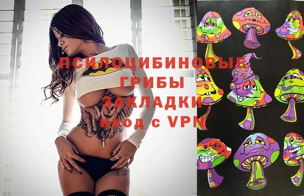 прущие крисы Дмитровск