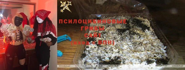 прущие крисы Дмитровск